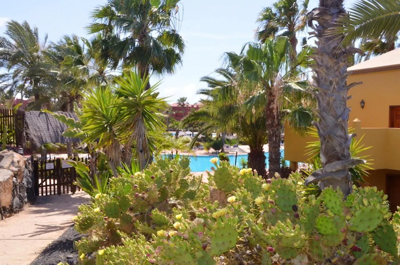 Cosy Apartment In Corralejo Shared Pool 55 M²