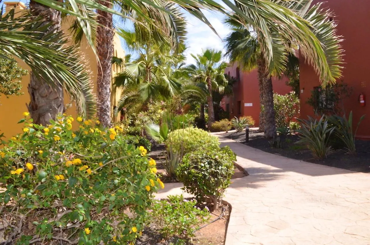 Cosy Apartment In Corralejo Shared Pool 55 M² 0*,